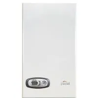 Газовый котел Ferroli Divatech D F24
