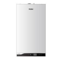 Газовый котёл  Haier TechLine S 2.18 ТW